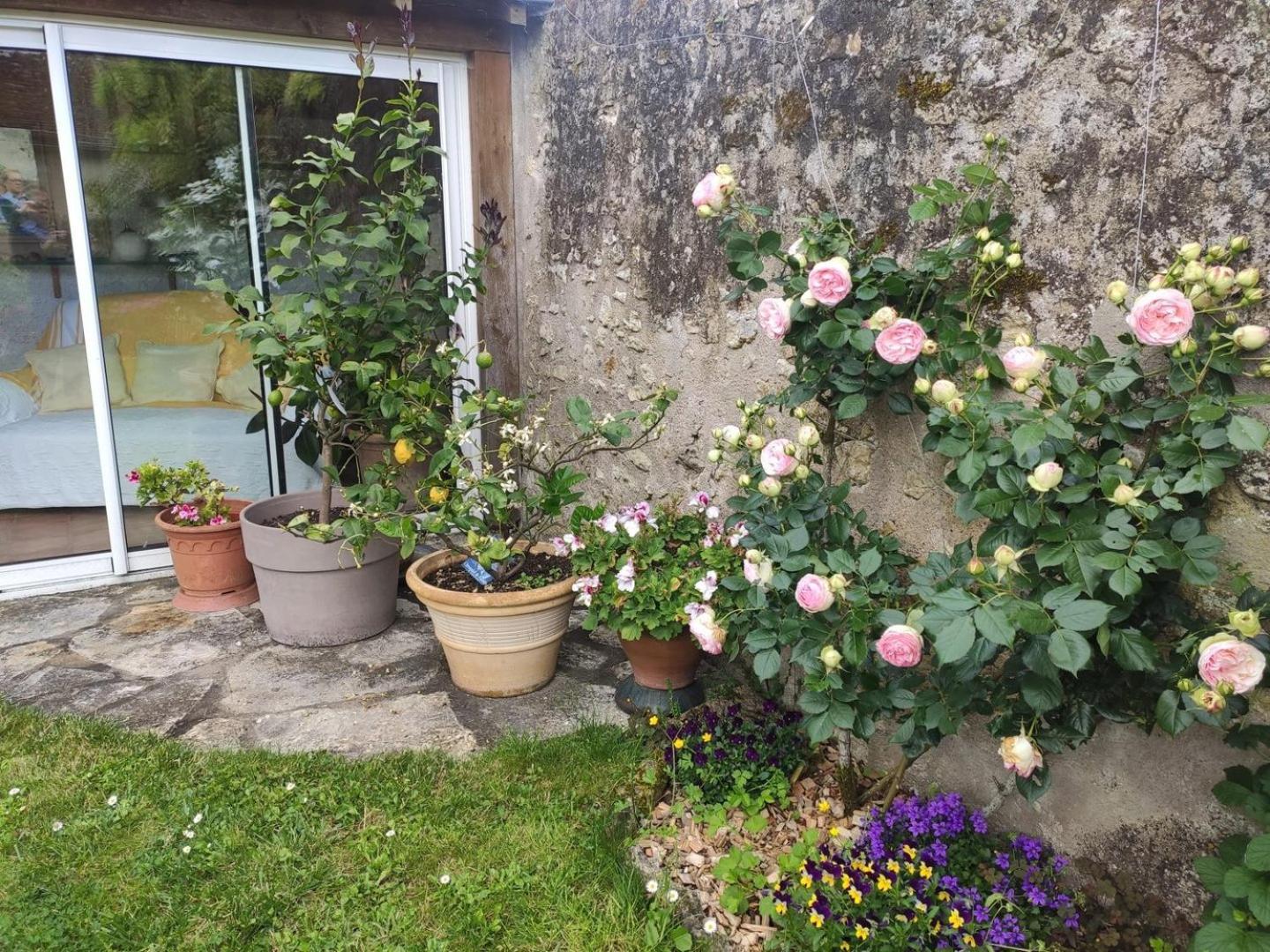 Le Relais De L'Ormeau - Charmant Gite Pour 4 Pers. Lussault-sur-Loire Ngoại thất bức ảnh