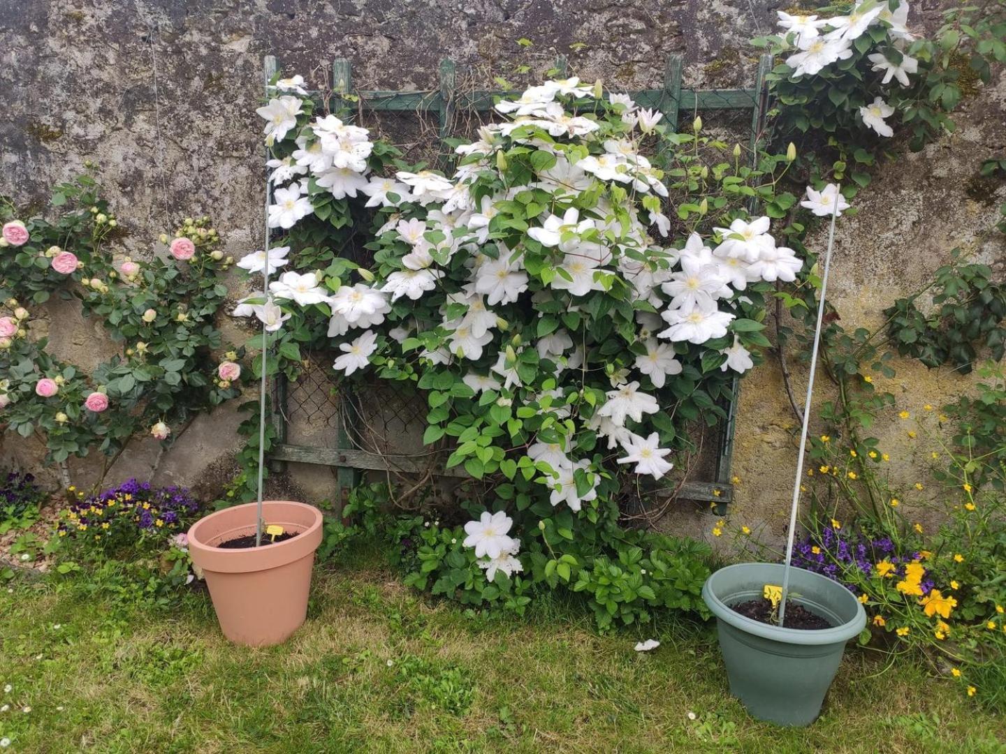 Le Relais De L'Ormeau - Charmant Gite Pour 4 Pers. Lussault-sur-Loire Ngoại thất bức ảnh